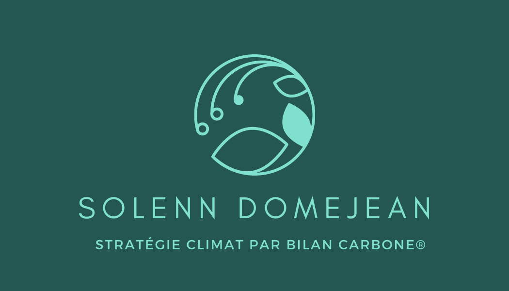 Logo Solenn DOMEJEAN